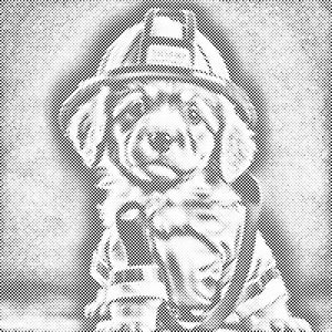 Fireman's dog - Dottingo