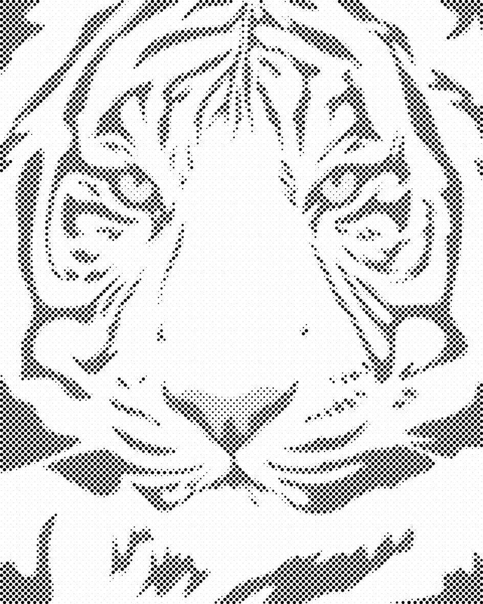 Black-White Tiger Head - Dottingo