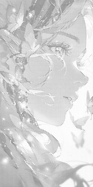 Butterfly woman - Dottingo