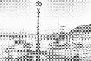 Boats in Harbor - Dottingo