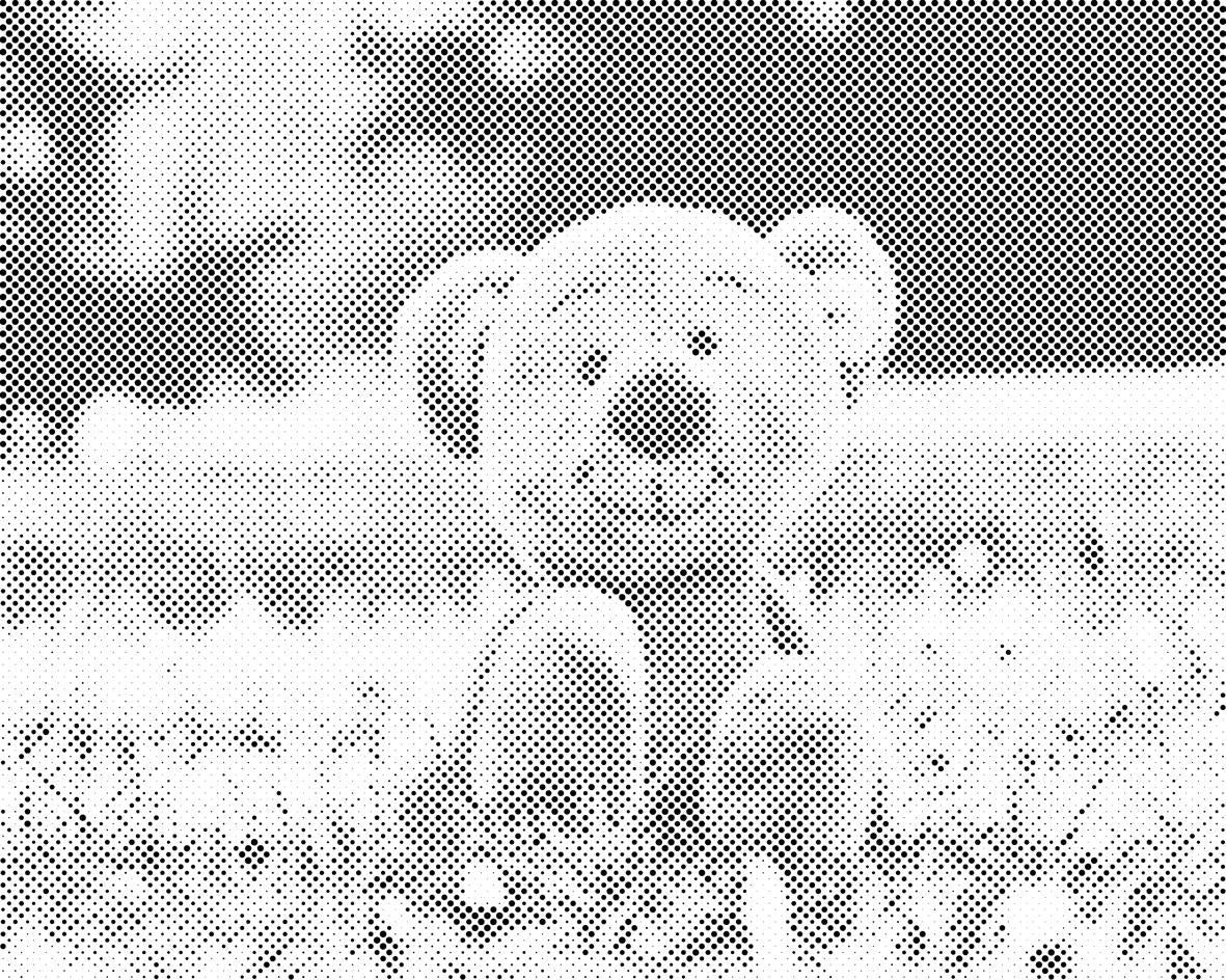Bear in Grass - Dottingo