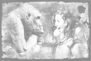 Good Mood - Dottingo