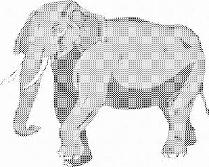 Cartoon Elephant - Dottingo