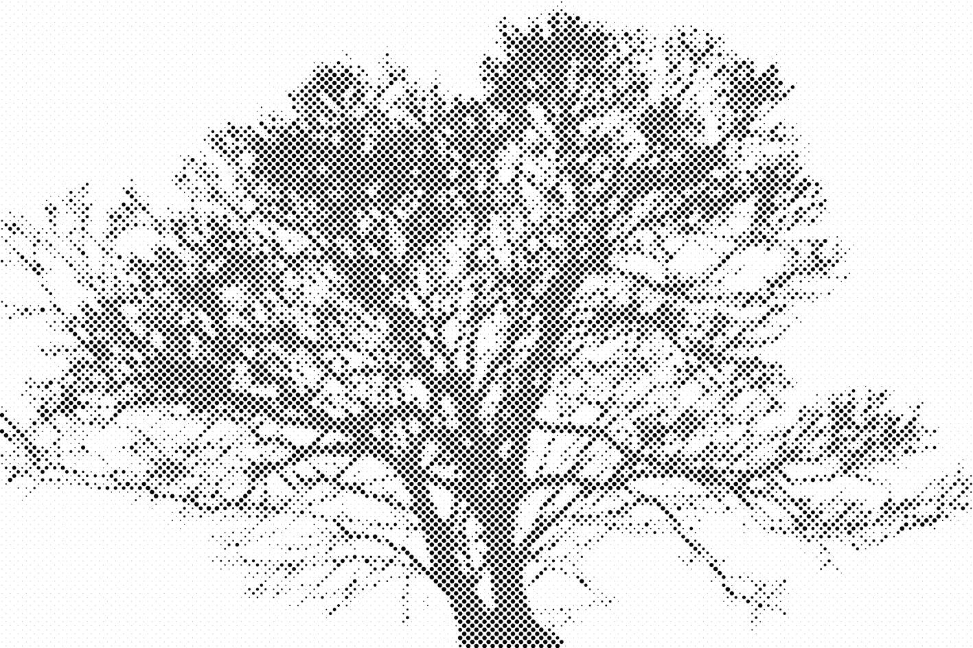Black and White Tree - Dottingo