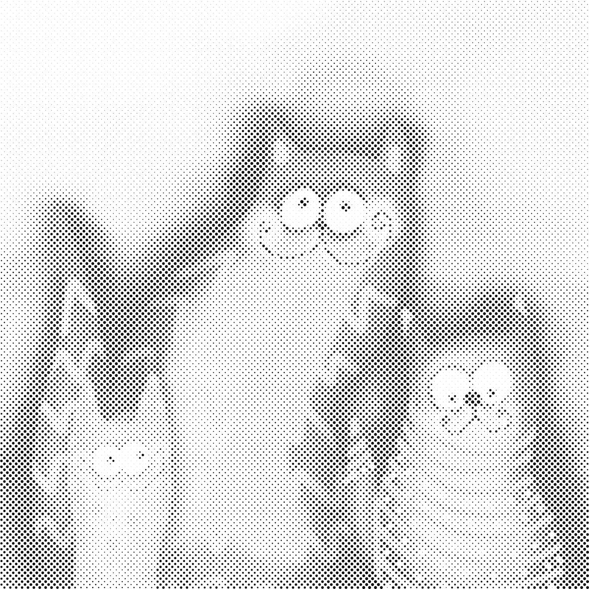 Kittens for Kids - Dottingo