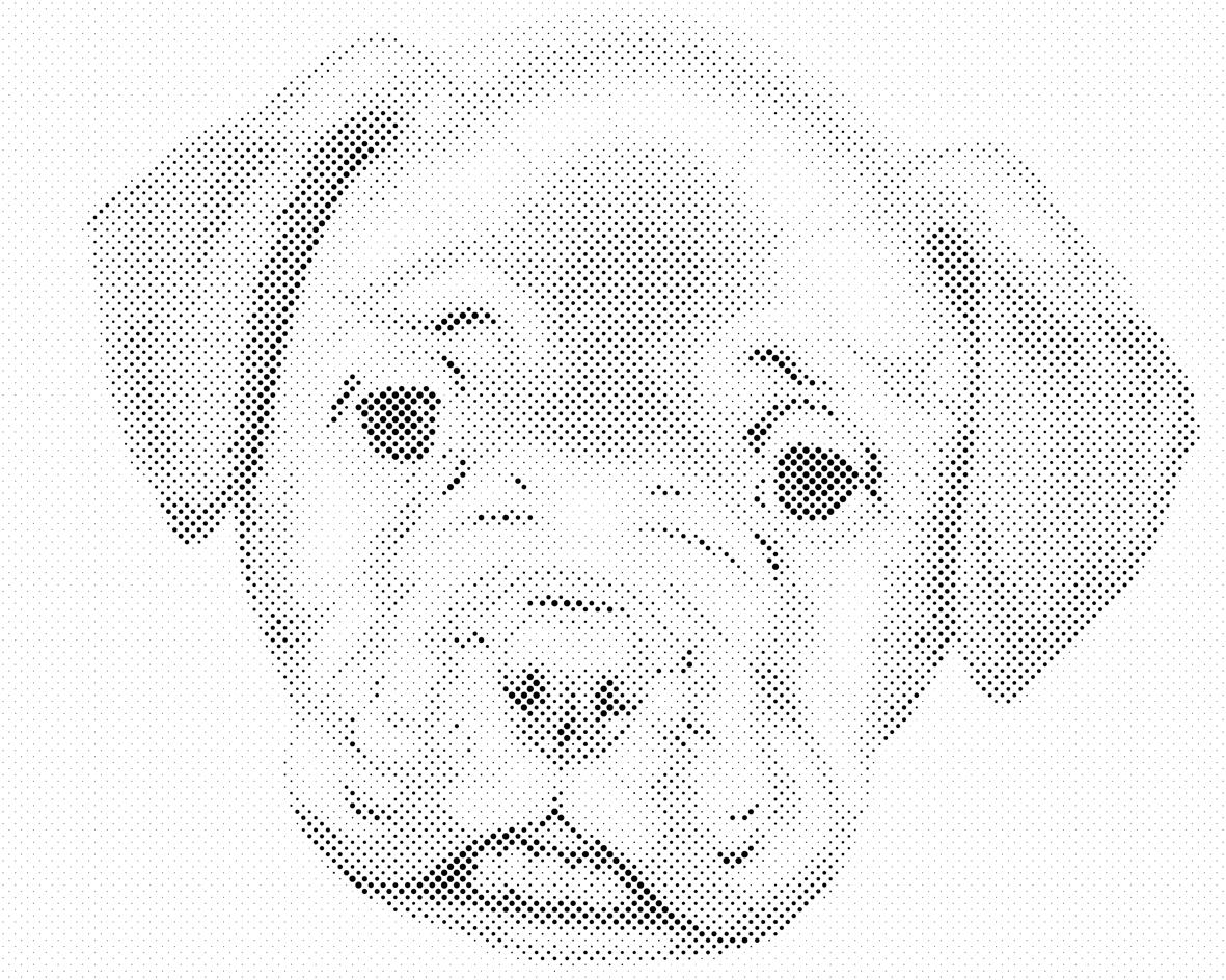 Little Puppy - Dottingo