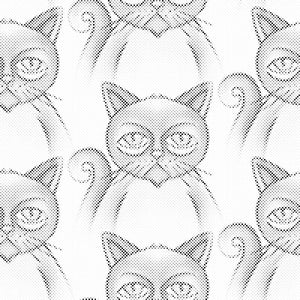 Grumpy Cats - Dottingo