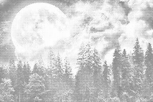 Full Moon over the Forest - Dottingo