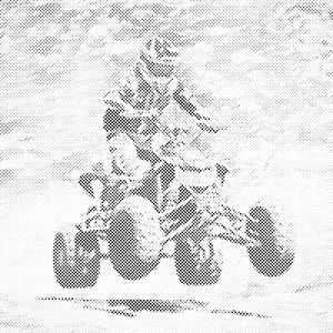 Adrenaline on Four Wheels - Dottingo