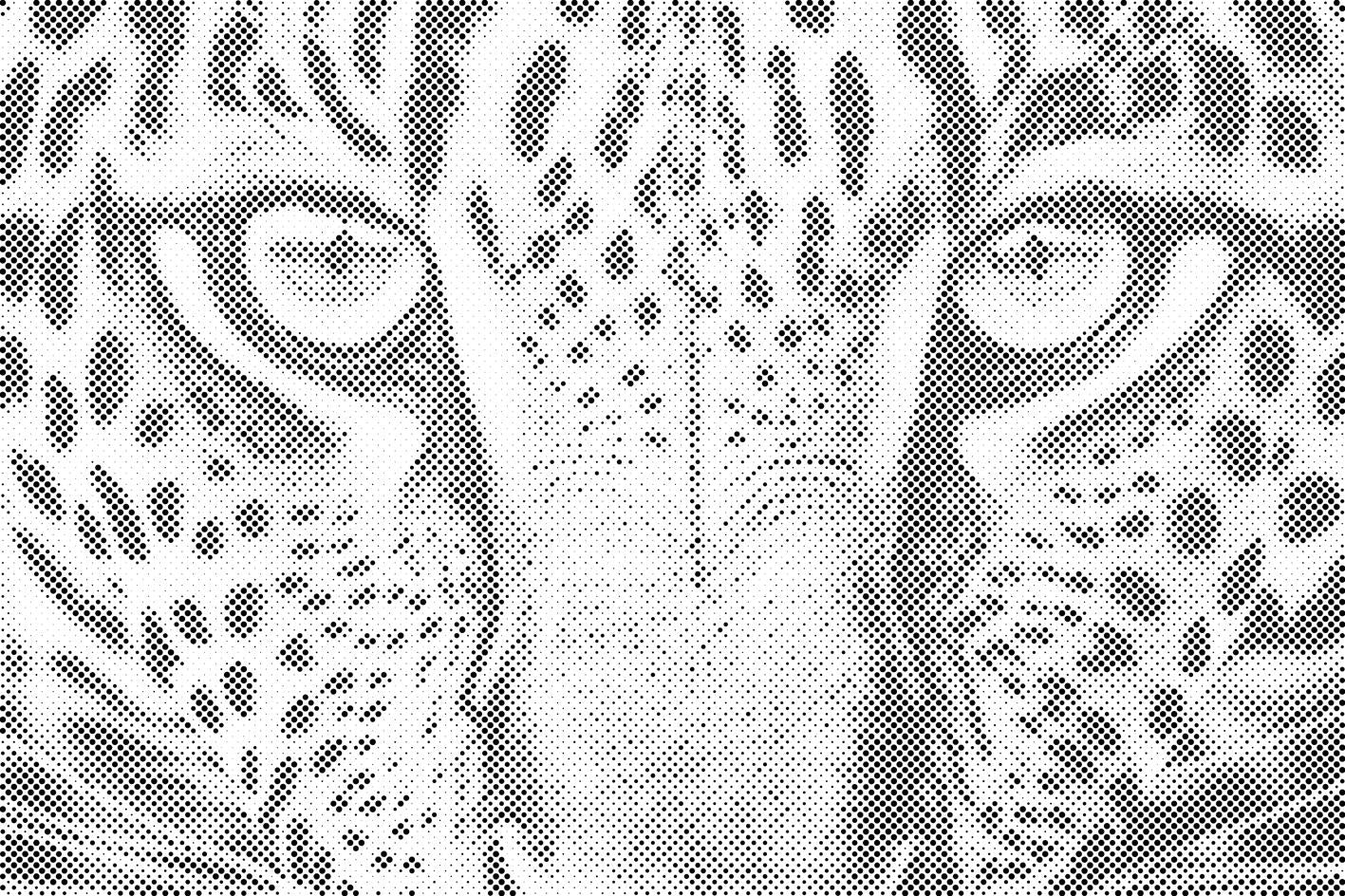 Leopard up close - Dottingo