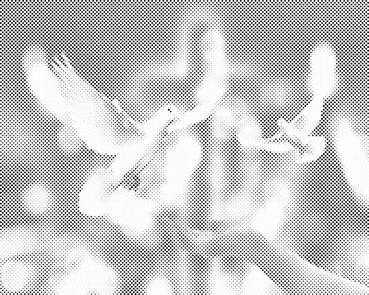 Doves of Peace - Dottingo