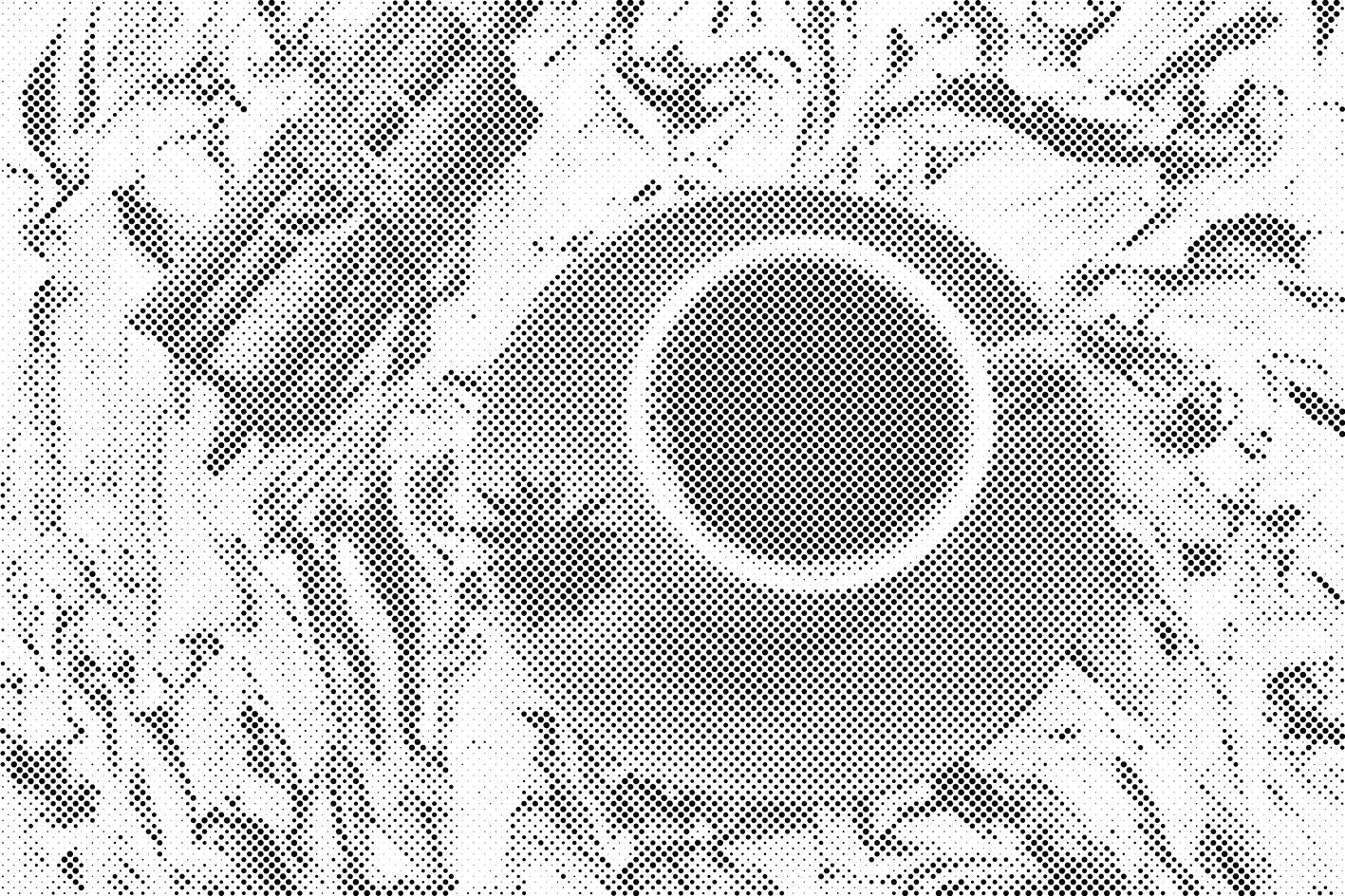 Coffee with Cinnamon - Dottingo