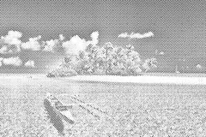 Beautiful Island - Dottingo
