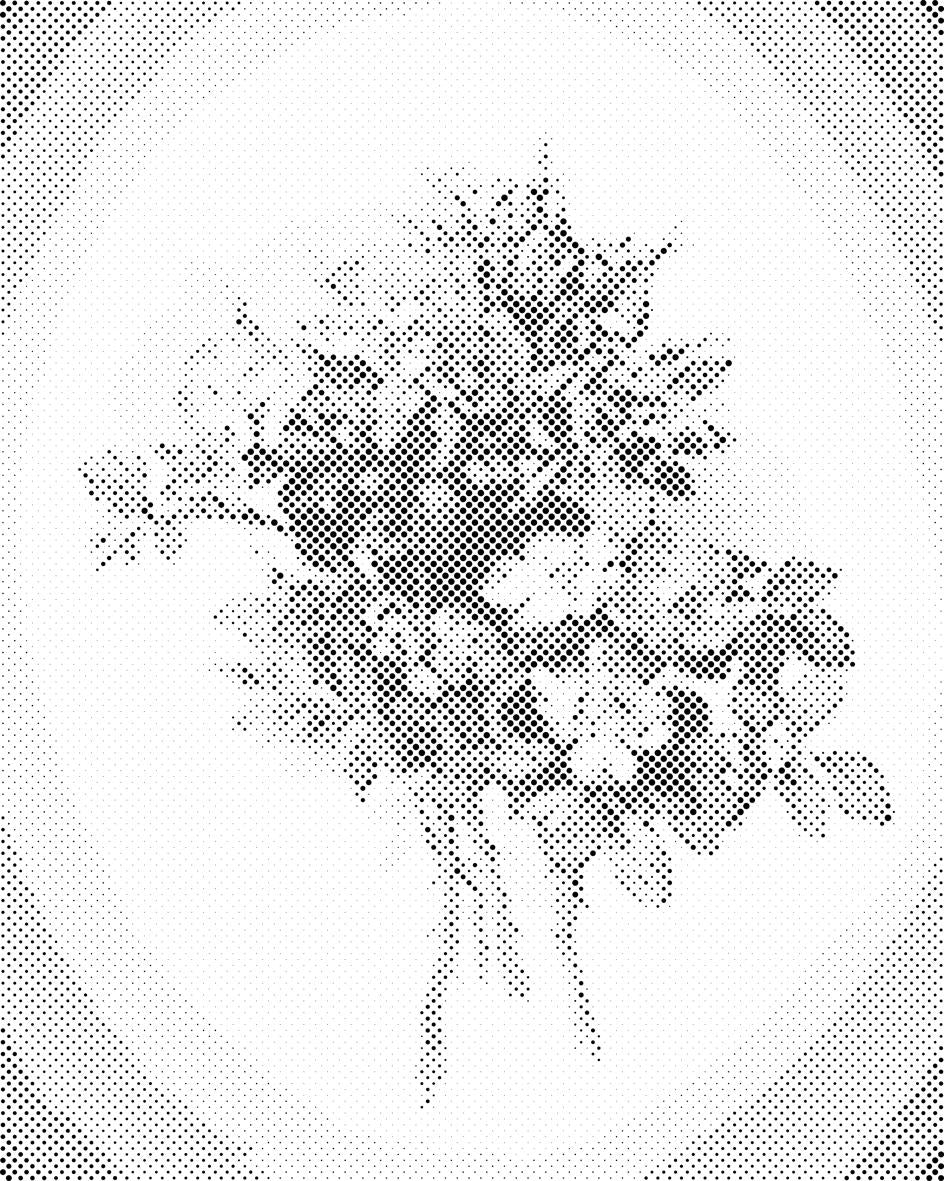 Vintage Flowers VII - Dottingo