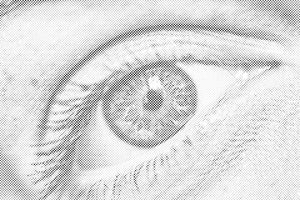 Human Eye - Dottingo