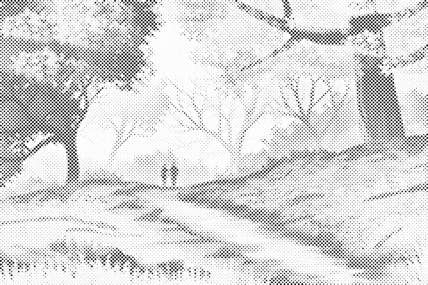 Autumn Nature - Dottingo