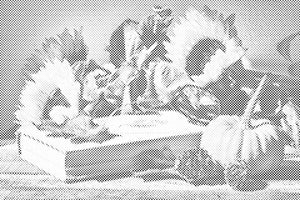 Pumpkin and Sunflowers - Dottingo