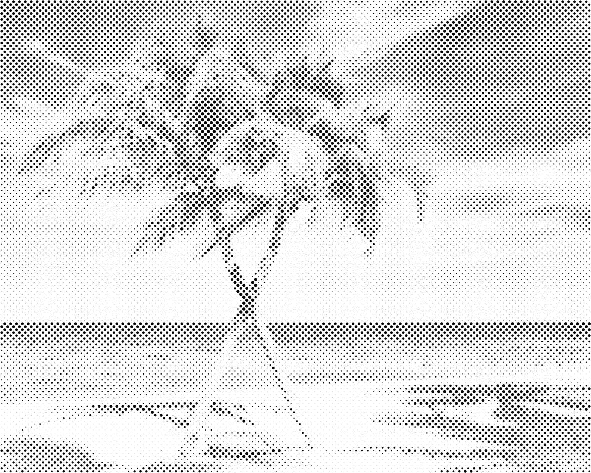 Caribbean - Dottingo