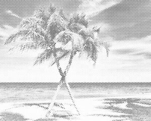 Caribbean - Dottingo