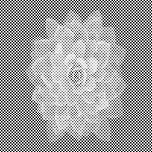 Mandala Flower into Oblivion - Dottingo