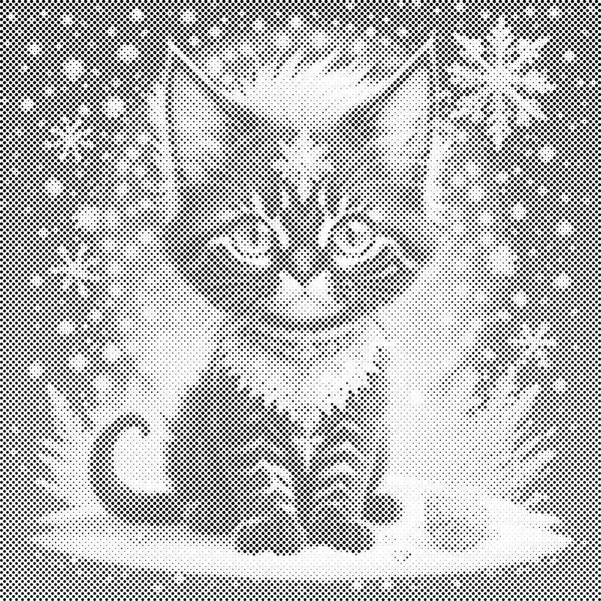 Snowy kitten - Dottingo