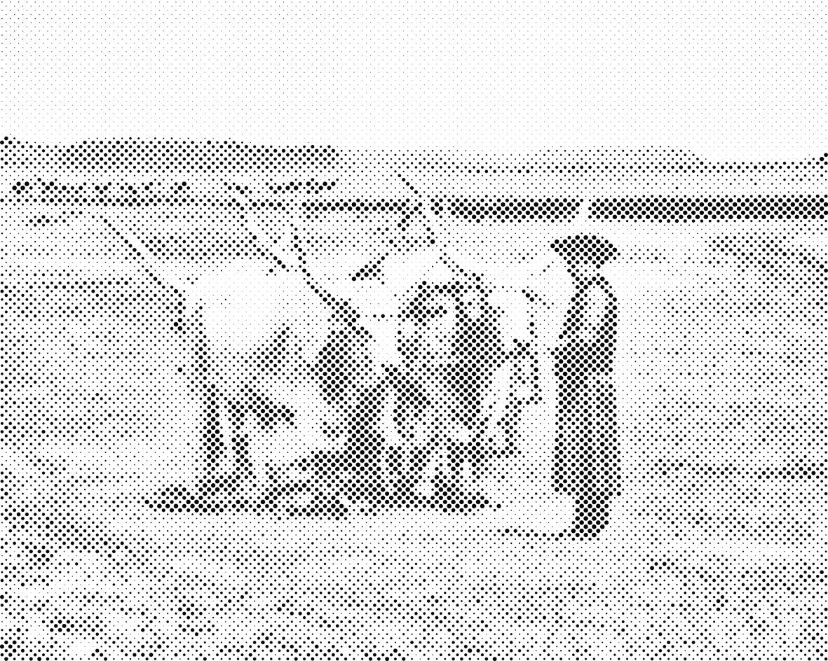 Hortobagy National Park, Hungary - Dottingo