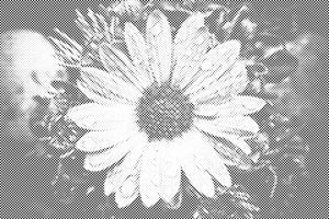 Drops on Flower - Dottingo