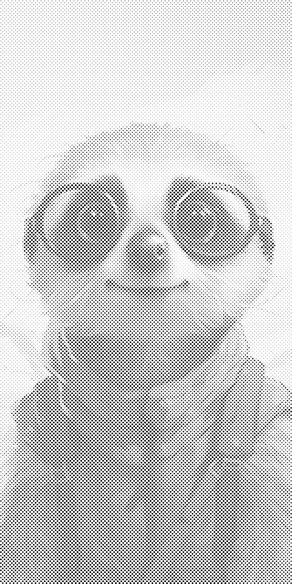 Meerkat in glasses - Dottingo