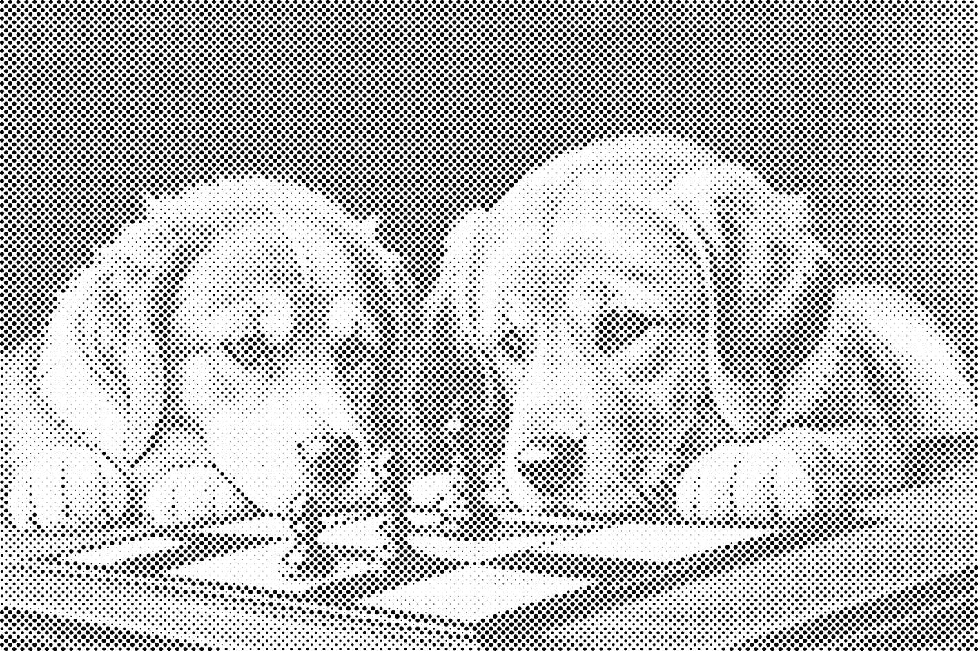 Doggy chess 1 - Dottingo