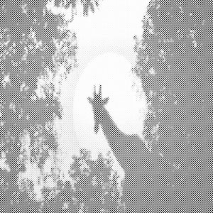 Giraffe in the moonlight - Dottingo