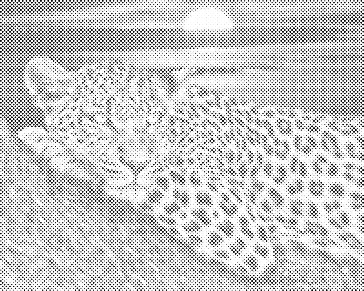 Leopard by Sunset - Dottingo
