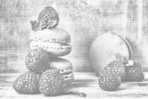 Macarons and Raspberries - Dottingo