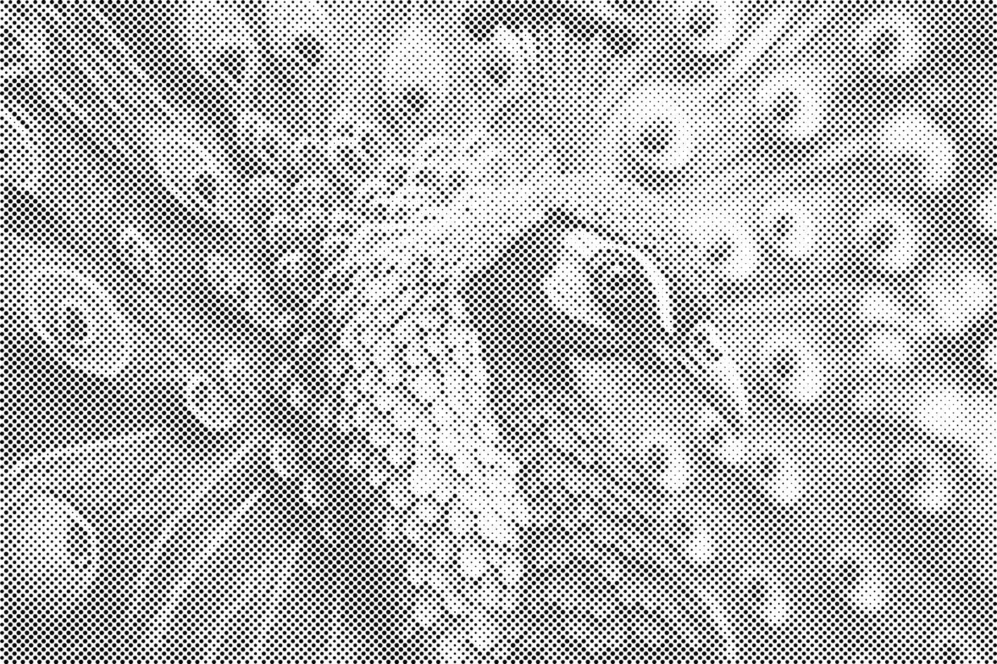 Indian Peafowl - Dottingo