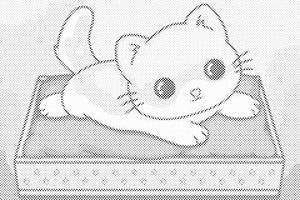 Kitten on Purple Blanket - Dottingo