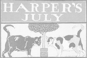 Harper's July - Dottingo