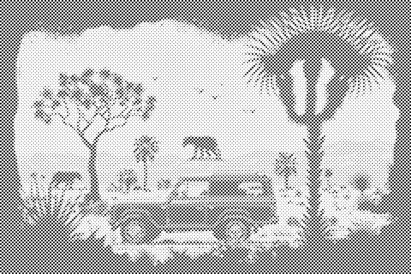 Safari - Dottingo