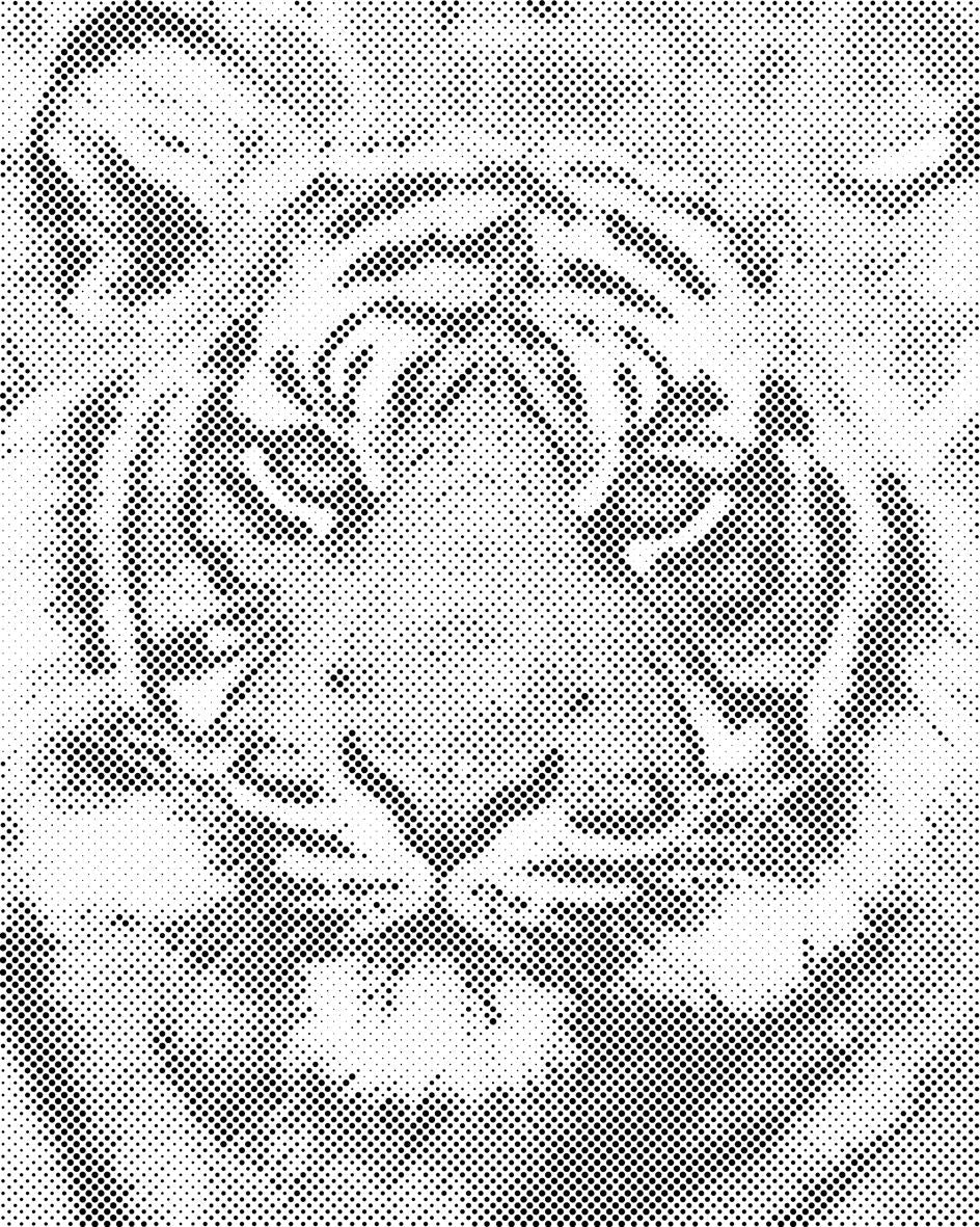 Tiger Head 2 - Dottingo