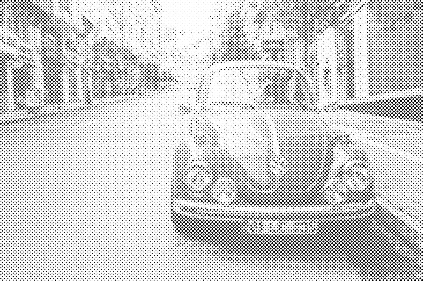 Volkswagen Beetle - Dottingo