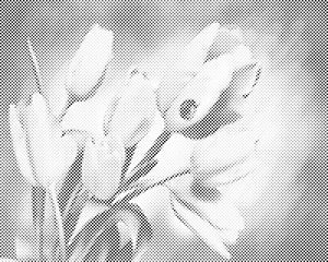 Tulips and Ladybug - Dottingo