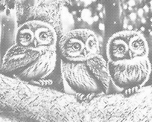 Three owlets - Dottingo