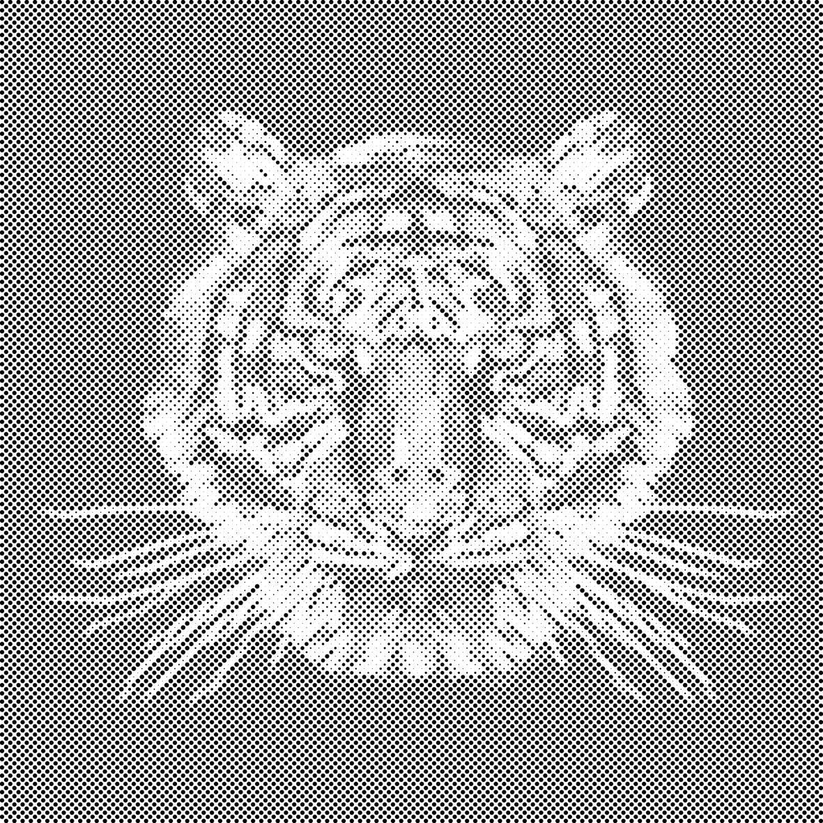 Tiger with a black background - Dottingo