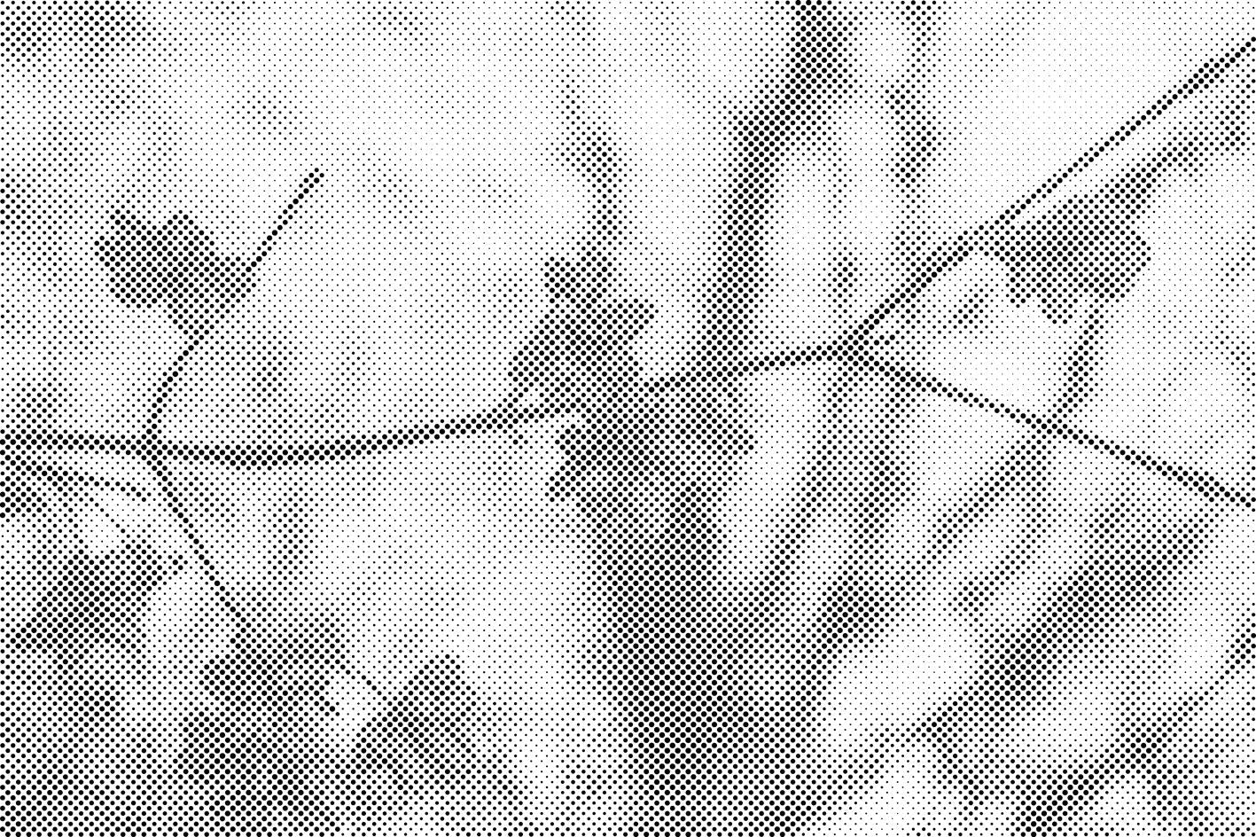 Tree blossoms - Dottingo