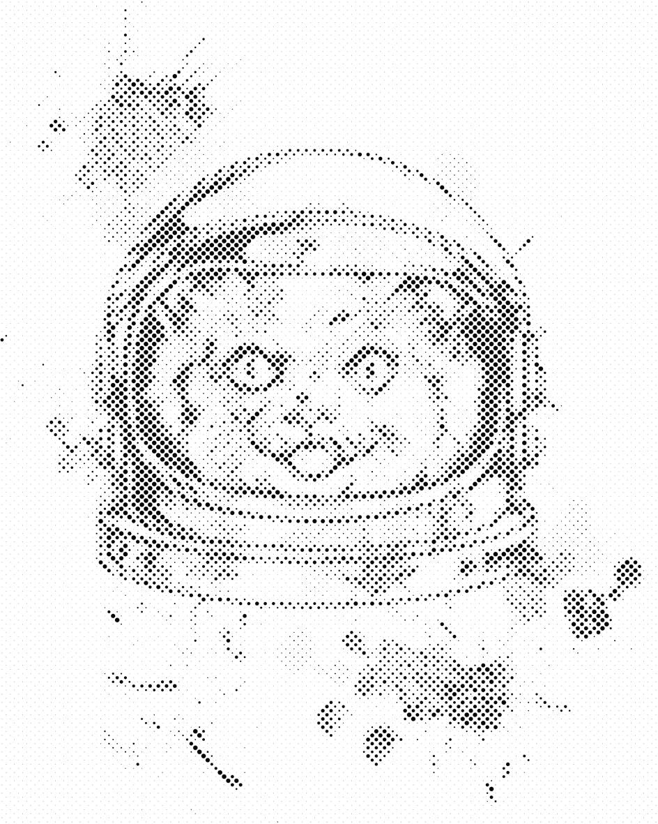 NASA Cat - Dottingo