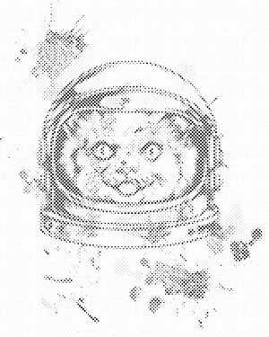 NASA Cat - Dottingo