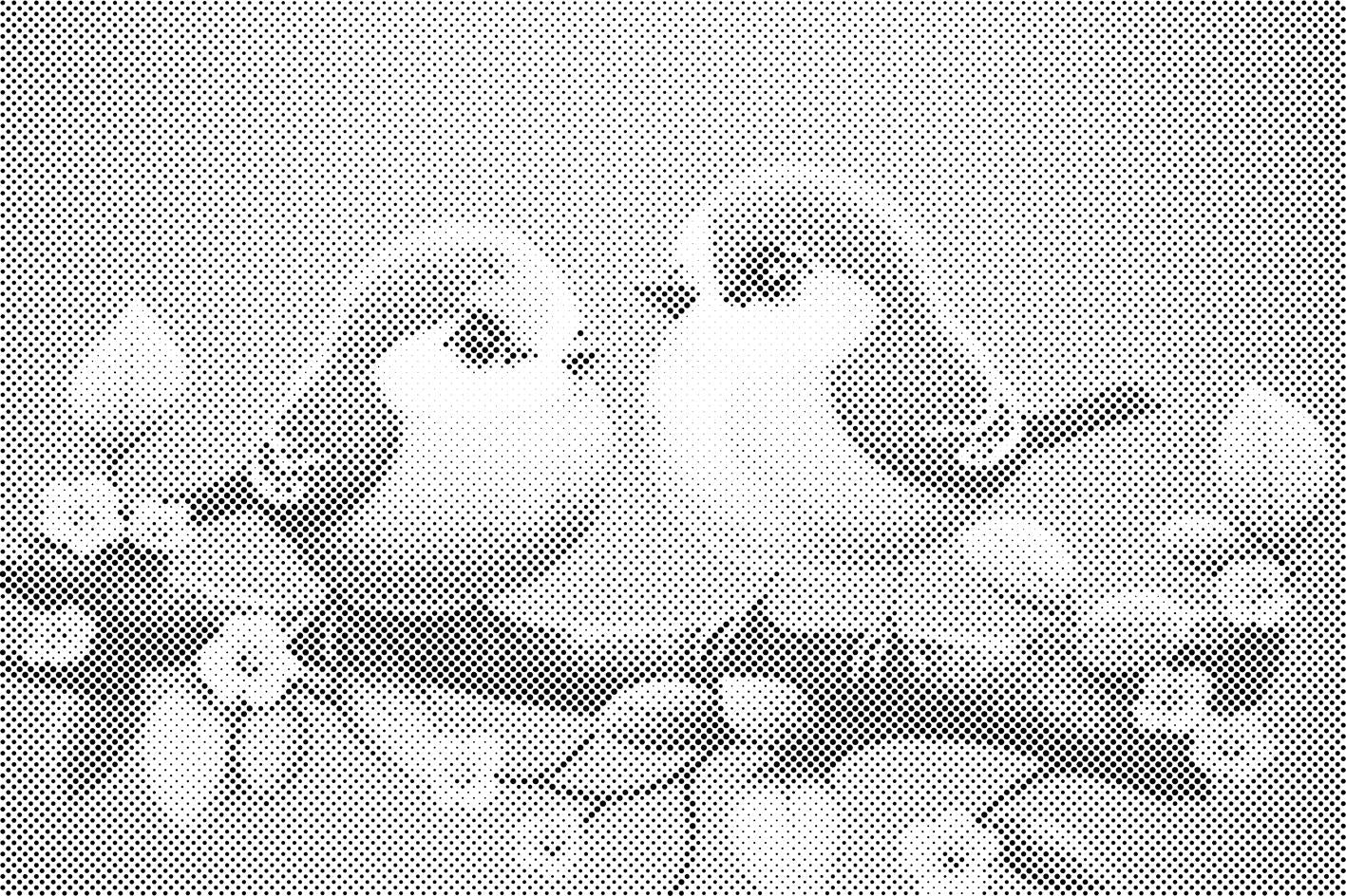 Cute Birds - Dottingo