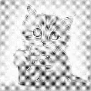 Kitten with a Camera - Dottingo