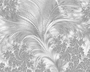 Fractal Feathers - Dottingo