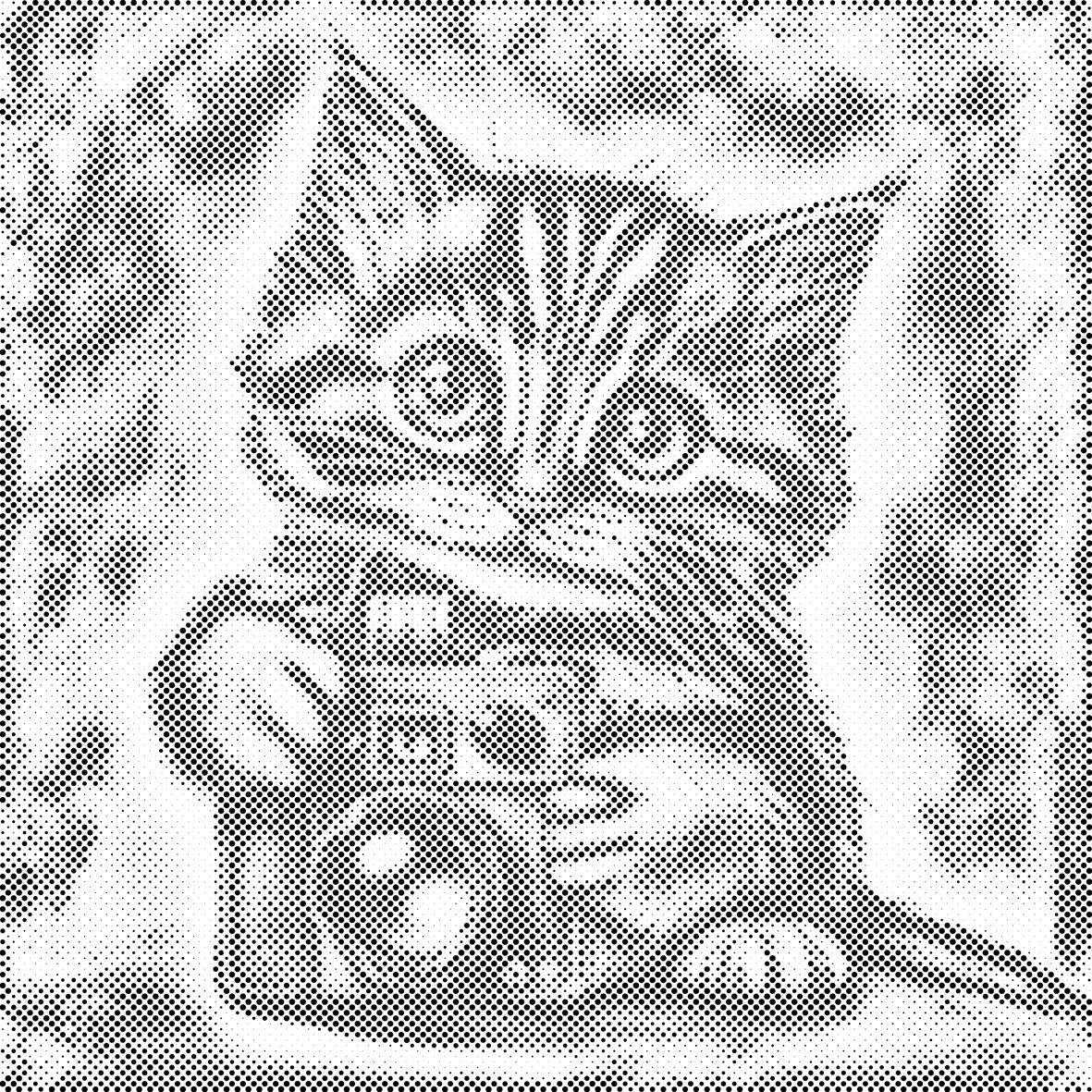 Kitten with a camera 2 - Dottingo