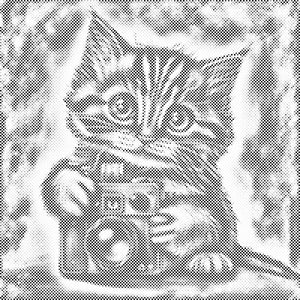 Kitten with a camera 2 - Dottingo