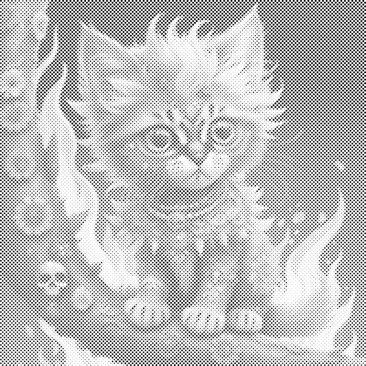 Shamanic kitten - Dottingo